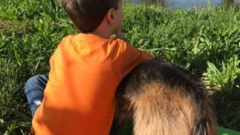 Cani, gatti e bambini, per una buona convivenza – Radiocittadelcapo.it