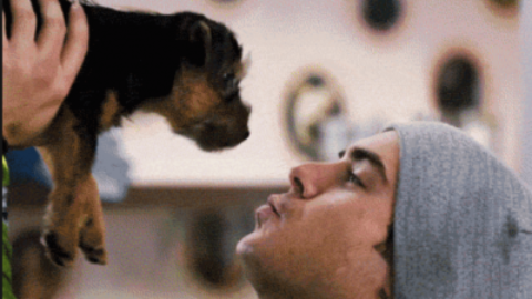 Effetto cani: Io quando vedo un cane, una divertente galleria … – www.amoreaquattrozampe.it (Blog)