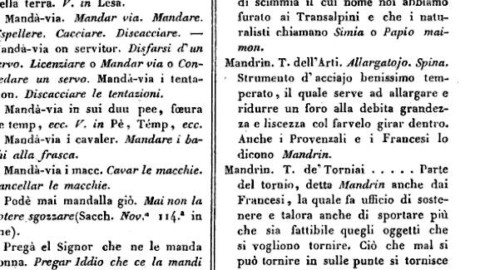 Racconti di veglia: il Gatto Mammone – La Valdichiana