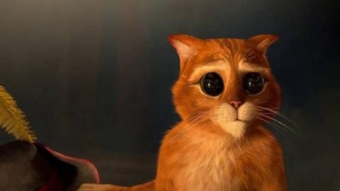 IL GATTO CON GLI STIVALI/ Su Italia 1 il film d'animazione diretto … – Il Sussidiario.net