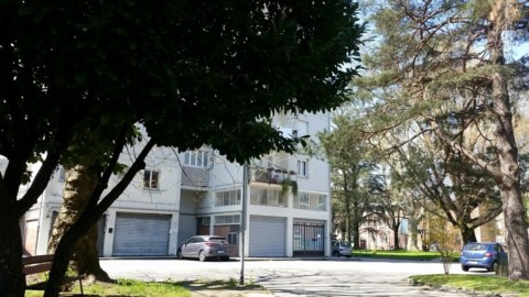Bellavista, cane ferito da uno sparo – La Sentinella del Canavese