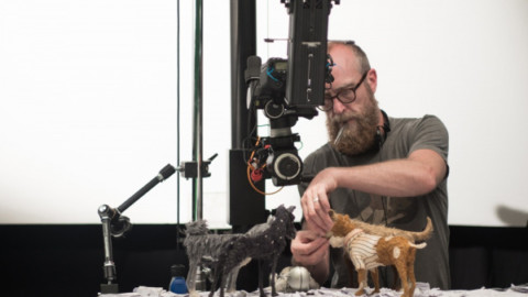L'isola dei cani: conosciamo i protagonisti di questa avventura canina! – focusjunior.it