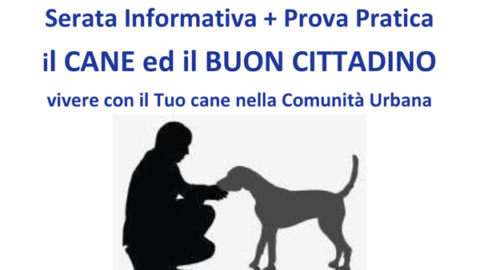 “Il cane buon cittadino”, incontri a Selvazzano – PadovaOggi