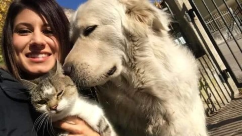Cane sequestrato perchè abbaia troppo: “E' un suo diritto, stabilito … – Trento Today