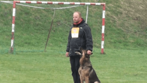 Video animali, concorso di dressage: questo cane conquista la giuria – www.amoreaquattrozampe.it (Blog)