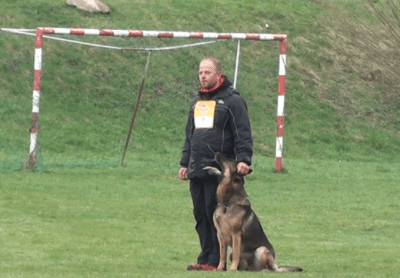Video animali, concorso di dressage: questo cane conquista la giuria – www.amoreaquattrozampe.it (Blog)