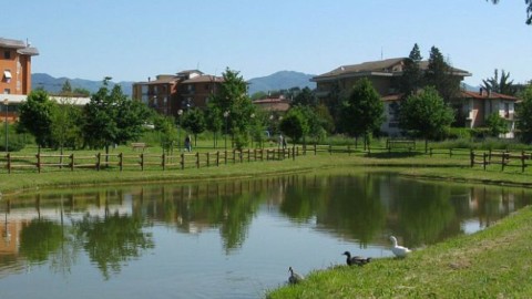 Il Parco della Misericordia, i cani e il rispetto (anche per gli altri … – OK!Mugello. Notizie cronaca attualità (Comunicati Stampa)
