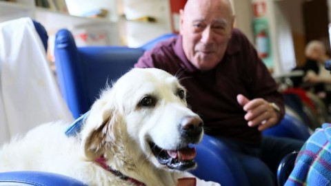 La Pet therapy arriva nella casa per anziani: “Con i cani i sorrisi si … – RavennaToday