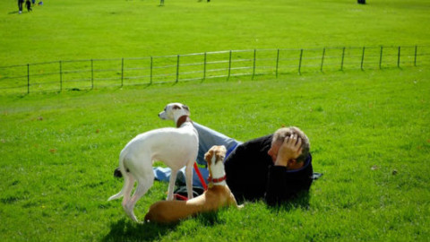 Cani e gatti: 5 modi per lenire l'ansia da separazione – GreenStyle