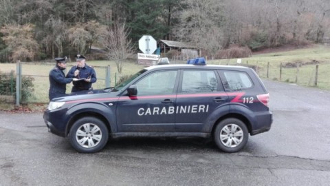 Chiama i carabinieri nel timore che la vicina fosse stata sbranata dai … – Città della Spezia
