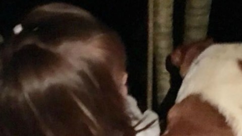 Friuli, ritrovate le due gemelle di quattro anni scomparse a Stella di … – Il Fatto Quotidiano