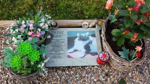 Anche in Veneto approvati i cimiteri per gli animali da compagnia – VicenzaToday
