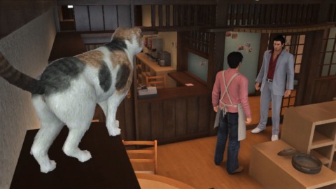 Yakuza 6: posizione e cibo preferito di tutti gatti randagi di … – Everyeye.it