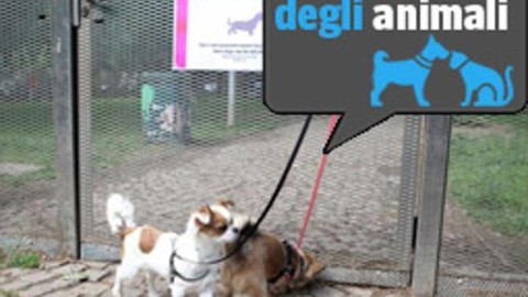 Parco Solari, l'area cani «vietata» ai più grossi: proprietari in rivolta … – Corriere della Sera