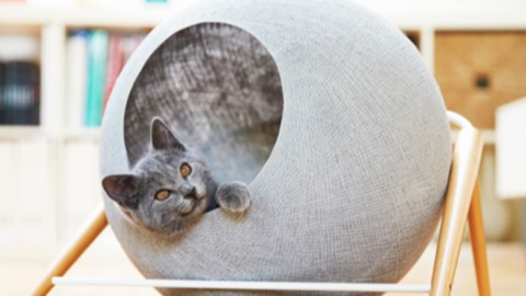 Ci penso io a te! Gli accessori di lusso per animali – L'Officiel – Italy (Blog)
