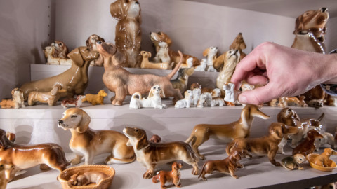 Che opera d'arte i cani. E ora c'è pure un museo dedicato ai bassotti – il Giornale
