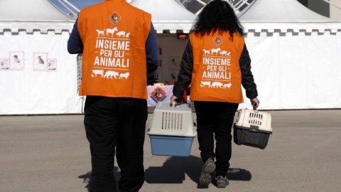 Tutela animali sar&agrave; riconosciuta &quot;di interesse generale e utilit&agrave; sociale&quot;