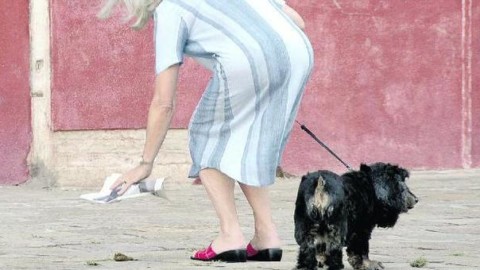 Slalom fra i ricordini dei cani: ma ora i padroni non in regola … – Il Gazzettino