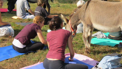 Agenda animale, gli appuntamenti del weekend del 5-6 maggio 2018 – Il Sole 24 Ore