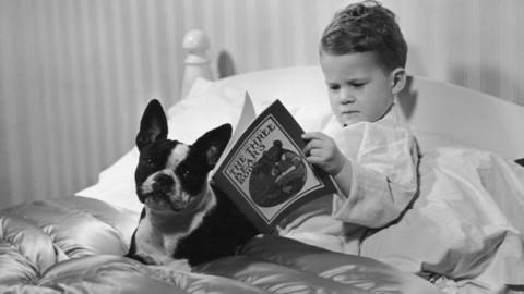 Cani e bambini: 6 consigli per farli crescere insieme e sicuri – Io Donna