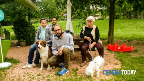 Divertirsi senza separarsi dal proprio amico a quattro zampe con l … – CesenaToday