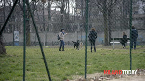 Spaccia nell'area cani e nasconde la cocaina “addosso” al … – MilanoToday