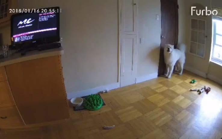 California, il padrone va al lavoro e...