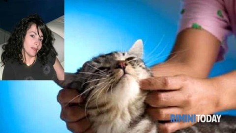 Accarezza il proprio gatto e muore per un violento shock anafilattico – RiminiToday