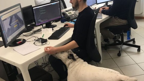 Tekapp, un'azienda a Formigine dove puoi portare il tuo cane in ufficio – Gazzetta di Modena