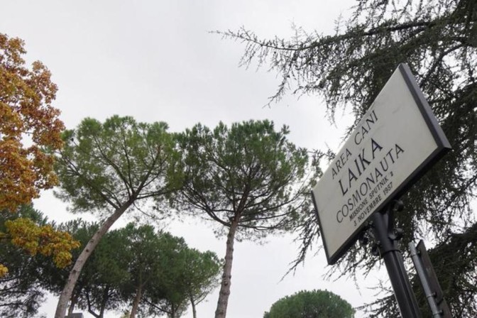 A Firenze un'area per cani dedicata a Diesel, cane eroe degli … – Il Secolo XIX