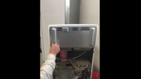 Chiamano l'elettricista per il forno guasto e scoprono che dentro c'è … – NanoPress