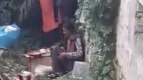 Una nomade cucina i gatti del quartiere e li mangia: succede a … – Blasting News