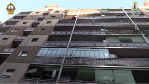 Tre cani di guardia nel fortino dello spaccio di Pioltello: 10 arresti, il … – La Repubblica
