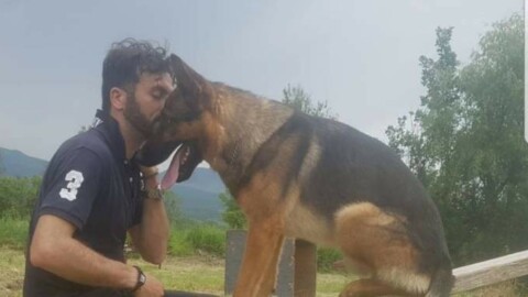 Ucciso Kaos, avvelenato il cane eroe del terremoto di Amatrice – Quotidiano.net