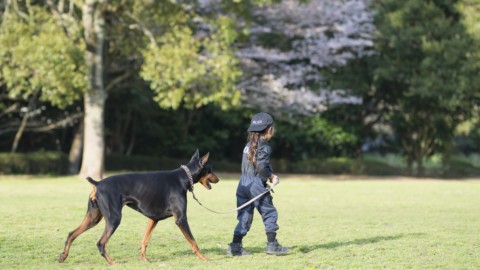 Bimbo vende i giocattoli per salvare il cane che è la sua medicina – il Giornale