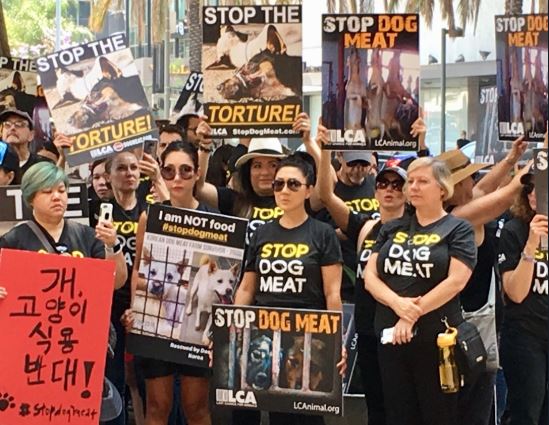 Usa, parata di star contro la Corea del Sud: “Basta mangiare i cani” – il Giornale