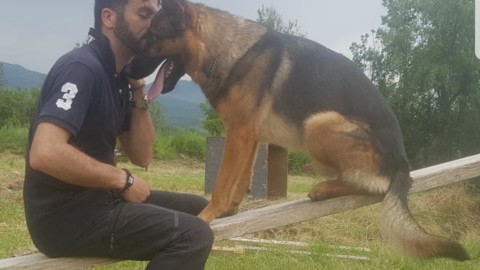 Kaos, siamo così stupidi da uccidere un cane che salva le vite umane? – Wired.it