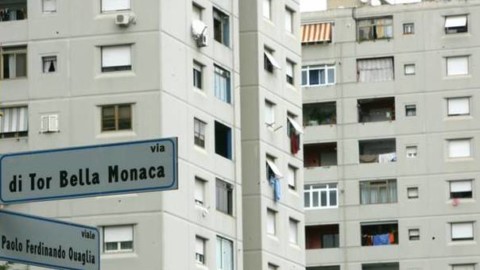 Roma, cocaina nascosta nella cuccia del gatto: pusher in manette a … – Il Messaggero