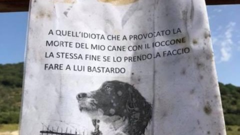 Troppe polpette avvelenate: gli appelli per salvare i cani – Il Messaggero