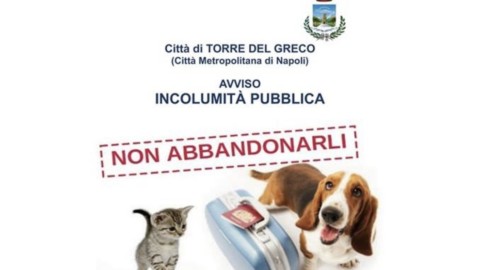 Cani aggressivi vietati a minori, delinquenti e infermi mentali: il … – Il Mattino