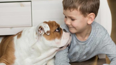 Il potere dei cani di proteggere i bambini dalle allergie nasce così – Corriere della Sera
