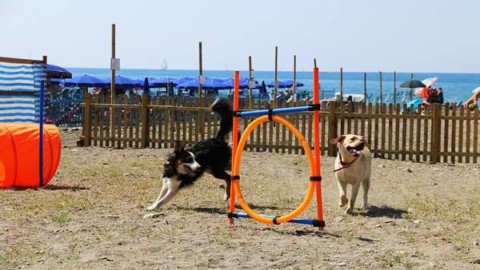 Inaugurata a Santa Teresa di Riva la Bau Beach: una spiaggia a … – Normanno.com