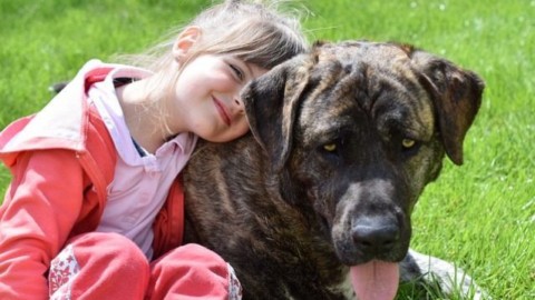 I cani aiutano davvero i bimbi con deficit di attenzione: dimostrato … – Scienze Fanpage