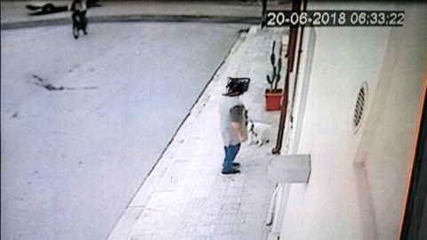 Non raccoglie gli escrementi del proprio cane: “immortalato” e multato – BrindisiReport