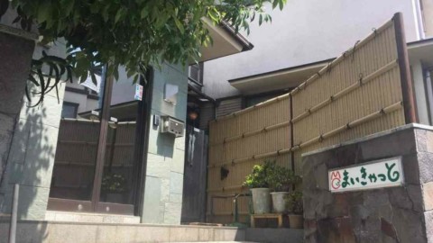 In Giappone puoi prenotare un gatto insieme alla stanza d'albergo – SiViaggia