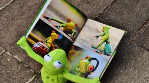 Letture bestiali da ombrellone – OggiScienza