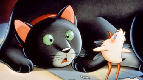 “Storia di una gabbianella e di un gatto” in scena a Montebelluna – TrevisoToday