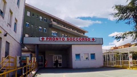 Aggressione tra cani, donna ferita da un morso finisce in pronto … – Zonalocale (Comunicati Stampa)