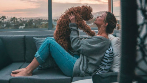 Cani e gatti: i benefici del massaggio – GreenStyle