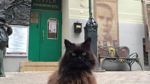 Giallo al museo di Mosca: rapito (e riconsegnato) il “gatto di Bulgakov” – il Giornale